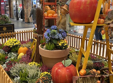 Herbstdekoration im Schultheiss Quartier Herbstdekoration im Schultheiss Quartier